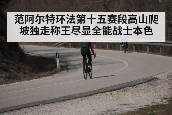 范阿尔特环法第十五赛段高山爬坡独走称王尽显全能战士本色